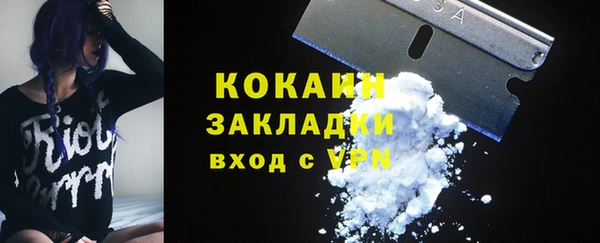 дживик Билибино