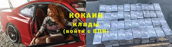 дживик Билибино