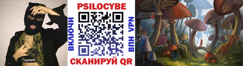 Галлюциногенные грибы Psilocybe  Заозёрск 